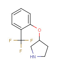 946760-13-0 3-[2-(trifluoromethyl)phenoxy]pyrrolidine chemical structure