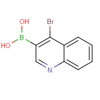 745784-06-9 (4-bromoquinolin-3-yl)boronic acid chemical structure