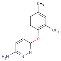 1177269-70-3 6-(2,4-dimethylphenoxy)pyridazin-3-amine chemical structure