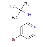1256819-02-9 4-bromo-N-tert-butylpyridin-2-amine chemical structure