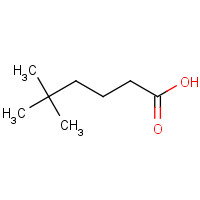 24499-80-7 5,5-dimethylhexanoic acid chemical structure