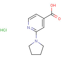 1187932-62-2 2-pyrrolidin-1-ylpyridine-4-carboxylic acid;hydrochloride chemical structure