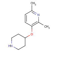 1400755-24-9 2,6-dimethyl-3-piperidin-4-yloxypyridine chemical structure
