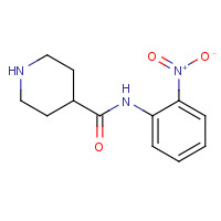 883106-60-3 N-(2-nitrophenyl)piperidine-4-carboxamide chemical structure