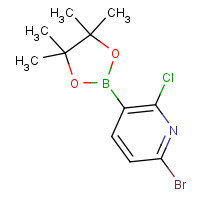1247726-85-7 6-bromo-2-chloro-3-(4,4,5,5-tetramethyl-1,3,2-dioxaborolan-2-yl)pyridine chemical structure