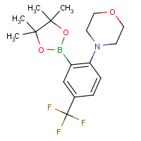 906352-77-0 4-[2-(4,4,5,5-tetramethyl-1,3,2-dioxaborolan-2-yl)-4-(trifluoromethyl)phenyl]morpholine chemical structure