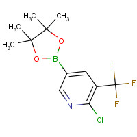 741709-67-1 2-chloro-5-(4,4,5,5-tetramethyl-1,3,2-dioxaborolan-2-yl)-3-(trifluoromethyl)pyridine chemical structure