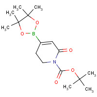 1345469-26-2 tert-butyl 6-oxo-4-(4,4,5,5-tetramethyl-1,3,2-dioxaborolan-2-yl)-2,3-dihydropyridine-1-carboxylate chemical structure
