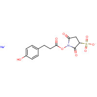 106827-57-0 sodium;1-[3-(4-hydroxyphenyl)propanoyloxy]-2,5-dioxopyrrolidine-3-sulfonate chemical structure