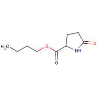61450-21-3 butyl 5-oxopyrrolidine-2-carboxylate chemical structure