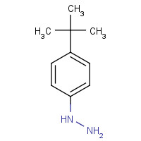 61765-93-3 (4-tert-butylphenyl)hydrazine chemical structure