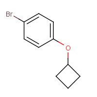 1350640-82-2 1-bromo-4-cyclobutyloxybenzene chemical structure