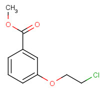 110924-54-4 methyl 3-(2-chloroethoxy)benzoate chemical structure
