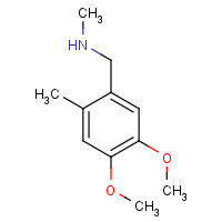 852706-05-9 1-(4,5-dimethoxy-2-methylphenyl)-N-methylmethanamine chemical structure