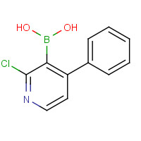 1029654-25-8 (2-chloro-4-phenylpyridin-3-yl)boronic acid chemical structure