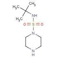270574-20-4 N-tert-butylpiperazine-1-sulfonamide chemical structure