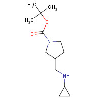 1289387-40-1 tert-butyl 3-[(cyclopropylamino)methyl]pyrrolidine-1-carboxylate chemical structure