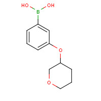 1350316-76-5 [3-(oxan-3-yloxy)phenyl]boronic acid chemical structure