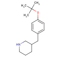 661470-64-0 3-[[4-[(2-methylpropan-2-yl)oxy]phenyl]methyl]piperidine chemical structure