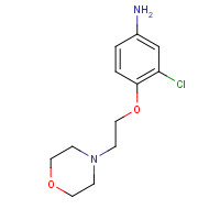 100248-82-6 3-chloro-4-(2-morpholin-4-ylethoxy)aniline chemical structure
