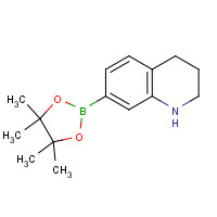 1235142-07-0 7-(4,4,5,5-tetramethyl-1,3,2-dioxaborolan-2-yl)-1,2,3,4-tetrahydroquinoline chemical structure