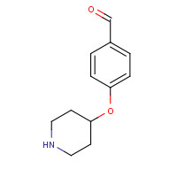 199103-27-0 4-piperidin-4-yloxybenzaldehyde chemical structure