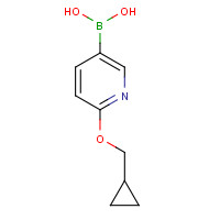 1028749-31-6 [6-(cyclopropylmethoxy)pyridin-3-yl]boronic acid chemical structure