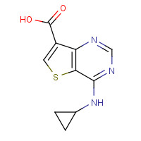 1318242-88-4 4-(cyclopropylamino)thieno[3,2-d]pyrimidine-7-carboxylic acid chemical structure