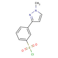 912569-59-6 3-(1-methylpyrazol-3-yl)benzenesulfonyl chloride chemical structure