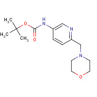 1203486-73-0 tert-butyl N-[6-(morpholin-4-ylmethyl)pyridin-3-yl]carbamate chemical structure
