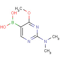 909187-38-8 [2-(dimethylamino)-4-methoxypyrimidin-5-yl]boronic acid chemical structure