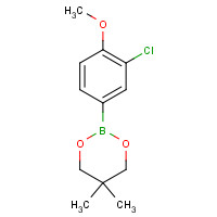 1310949-94-0 2-(3-chloro-4-methoxyphenyl)-5,5-dimethyl-1,3,2-dioxaborinane chemical structure