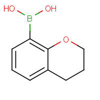 685514-79-8 3,4-dihydro-2H-chromen-8-ylboronic acid chemical structure
