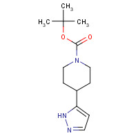 278798-07-5 tert-butyl 4-(1H-pyrazol-5-yl)piperidine-1-carboxylate chemical structure