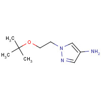 1251057-90-5 1-[2-[(2-methylpropan-2-yl)oxy]ethyl]pyrazol-4-amine chemical structure