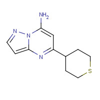 1260105-88-1 5-(thian-4-yl)pyrazolo[1,5-a]pyrimidin-7-amine chemical structure
