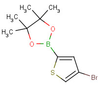 942070-06-6 2-(4-bromothiophen-2-yl)-4,4,5,5-tetramethyl-1,3,2-dioxaborolane chemical structure