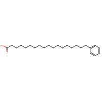 19740-00-2 18-phenyloctadecanoic acid chemical structure