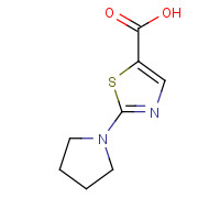 941716-91-2 2-pyrrolidin-1-yl-1,3-thiazole-5-carboxylic acid chemical structure