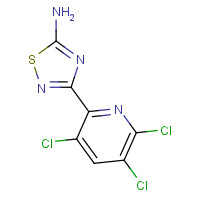 1179362-79-8 3-(3,5,6-trichloropyridin-2-yl)-1,2,4-thiadiazol-5-amine chemical structure