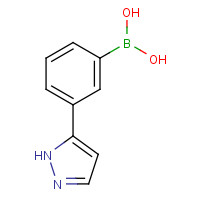 1100095-25-7 [3-(1H-pyrazol-5-yl)phenyl]boronic acid chemical structure