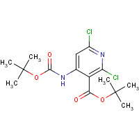 1044148-92-6 tert-butyl 2,6-dichloro-4-[(2-methylpropan-2-yl)oxycarbonylamino]pyridine-3-carboxylate chemical structure