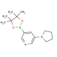 1201644-49-6 3-pyrrolidin-1-yl-5-(4,4,5,5-tetramethyl-1,3,2-dioxaborolan-2-yl)pyridine chemical structure