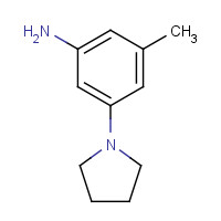 1335496-78-0 3-methyl-5-pyrrolidin-1-ylaniline chemical structure