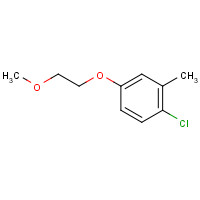 199590-73-3 1-chloro-4-(2-methoxyethoxy)-2-methylbenzene chemical structure