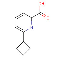 1443759-37-2 6-cyclobutylpyridine-2-carboxylic acid chemical structure