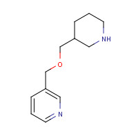 933717-17-0 3-(piperidin-3-ylmethoxymethyl)pyridine chemical structure