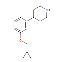 1211515-93-3 4-[3-(cyclopropylmethoxy)phenyl]piperidine chemical structure