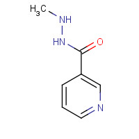 59190-20-4 N'-methylpyridine-3-carbohydrazide chemical structure