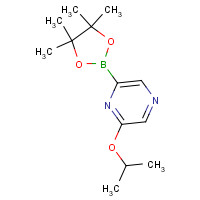 1380918-96-6 2-propan-2-yloxy-6-(4,4,5,5-tetramethyl-1,3,2-dioxaborolan-2-yl)pyrazine chemical structure